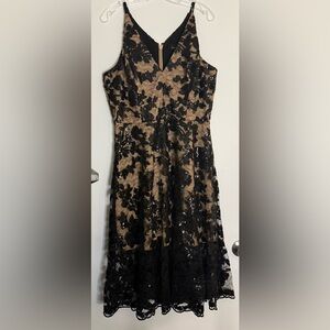 Dress the
Population Blair
Lace Dress Black
Nude Fit Flare Midi
Formal Wedding